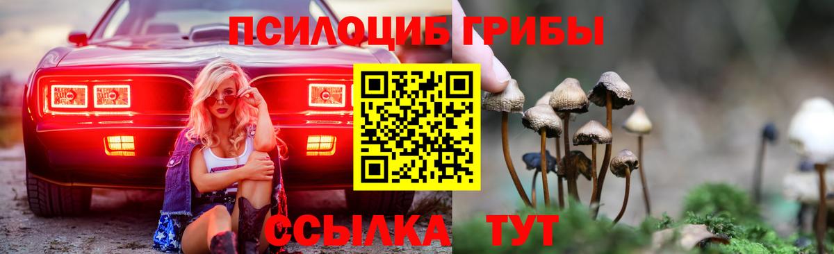 Свободный  Галлюциногенные грибы Psilocybe  Вход с VPN 